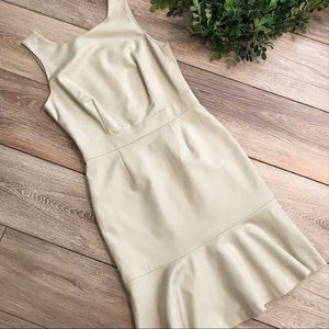 NWT Banana Republic dress w/trumpet skirt